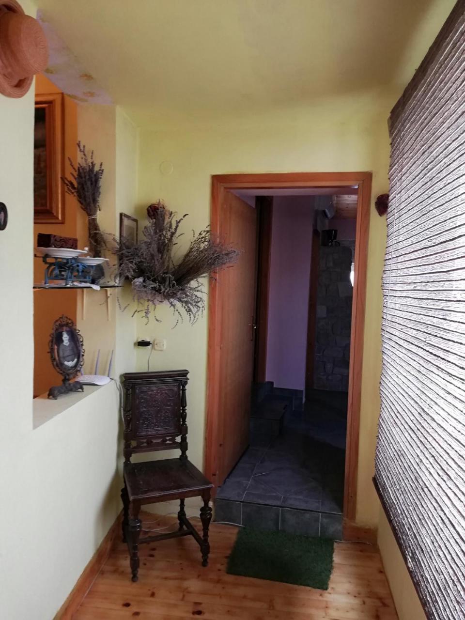Apartments Branimir ザダル エクステリア 写真