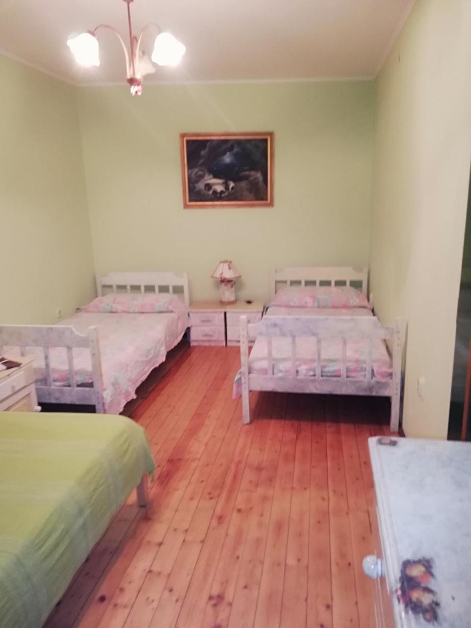 Apartments Branimir ザダル エクステリア 写真